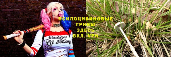 прущий лед Алексеевка