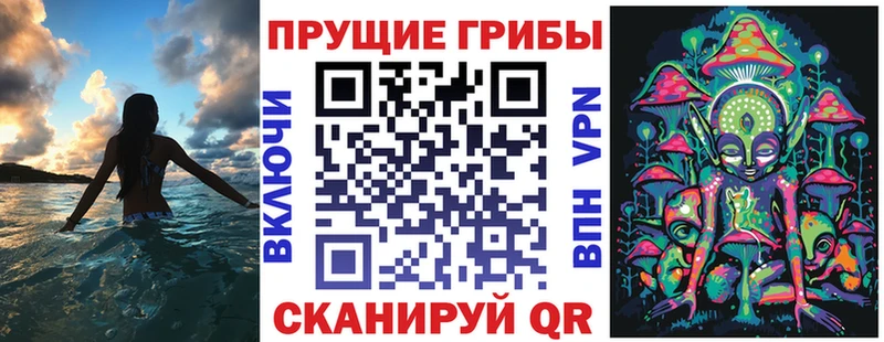 Псилоцибиновые грибы Psilocybe  Белоозёрский 